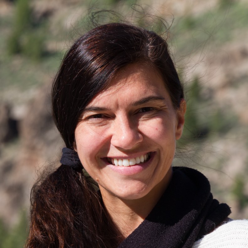 Annalisa Pillepich